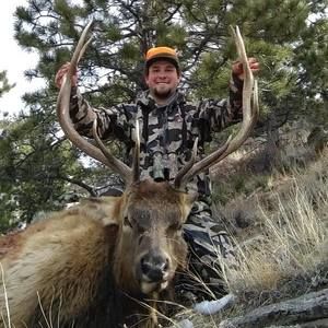 Meet your Posher, Austin